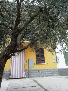 a yellow building with a tree and a window at L'ulivo,casa di campagna. in Cortiglione