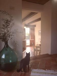 un gato negro sentado en una sala de estar con un jarrón en Fantastic Apartment in the Heart of Toscana en Castiglion Fiorentino