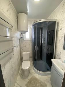 a bathroom with a toilet and a shower and a sink at Карпатська тиша in Sheshory