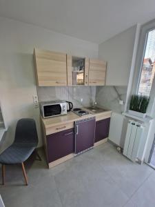 una piccola cucina con lavandino e forno a microonde di B-TIM Apartment a Velika Gorica