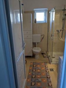 ein kleines Bad mit einem WC und einer Dusche in der Unterkunft Appartement Blue Lagune 4 Sterne in Prizna