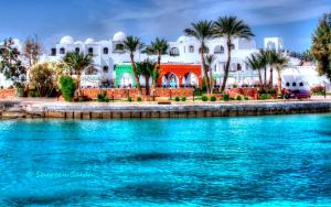 a beach with palm trees and palm trees at Arabella Azur Resort in Hurghada