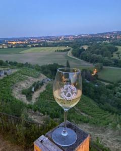 a glass of wine sitting on top of a table at Ferienhaus am Steinmeister Turm in Naumburg
