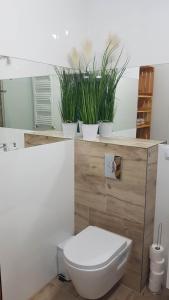 a bathroom with a toilet and potted plants on a shelf at Pokoje Gościnne Zielony Zakątek in Jelenia Góra