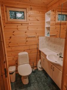 Koupelna v ubytování Cozy Chalet Äkäslompolo