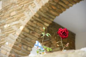 a red rose in front of a brick wall at Andros Guesthouses in Andros