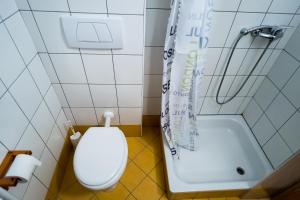 a bathroom with a toilet and a bath tub at Apartments Lavric in Nova Vas