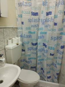 łazienka z toaletą, umywalką i zasłoną prysznicową w obiekcie Marios House 2 w mieście Ksanti