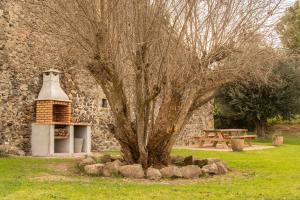 uma árvore em frente a um edifício de pedra com uma mesa de piquenique em Casa Rural en Rupià con piscina em Rupiá