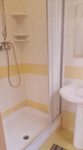 W łazience znajduje się prysznic i umywalka. w obiekcie Casa di fiore bad and breakfast w mieście San Giovanni in Fiore