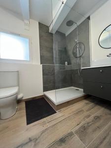 une salle de bains avec douche, toilettes et lavabo dans l'établissement Les Vans - Charmant appartement au cœur du village, aux Vans 14 autres photos