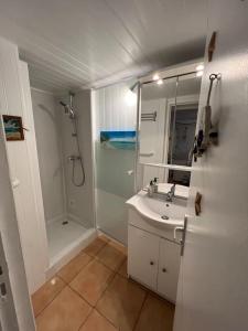 y baño blanco con lavabo y ducha. en Maison indépendante avec 6 chambres proche du tram A en Lormont