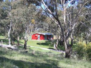 a red barn in the middle of a field with trees at Clare Valley Cabins in Clare