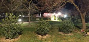 A garden outside Sacripante