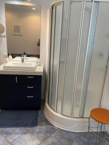 W łazience znajduje się umywalka i prysznic. w obiekcie Maison d edouard w mieście Saint-Antonin