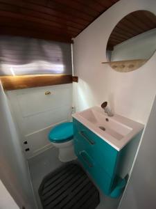a small bathroom with a blue toilet and a sink at Bateau Fellowship in Narbonne
