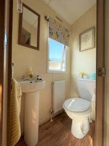 a bathroom with a toilet and a sink and a mirror at Sea Breeze a beautiful 3 bedroom coastal caravan in Milford on Sea