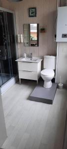 a bathroom with a toilet and a sink and a mirror at Soucis au vent in De Panne +18 photos
