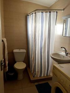 a bathroom with a shower curtain and a toilet and a sink at Madaba Hills Apt in Madaba