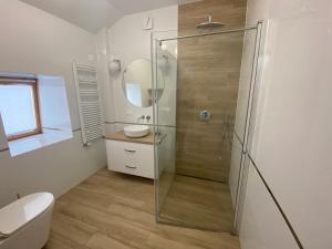 a bathroom with a shower with a toilet and a sink at Lake & City Apartments in Giżycko +55 photos