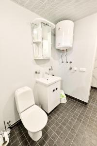 Koupelna v ubytování Lehola Apartment - kontaktivaba sissepääs