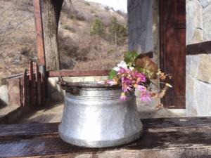 Fotografie z fotogalerie ubytování Hotel Hinovi Hvoyna v destinaci Hvoyna