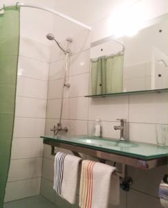 a bathroom with a sink and a shower at Hotel Hinovi Hvoyna in Hvoyna