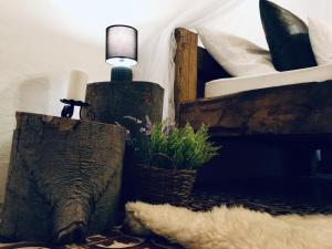 a lamp sitting next to a bed with a potted plant at Mátrai pincés udvar in Mátramindszent