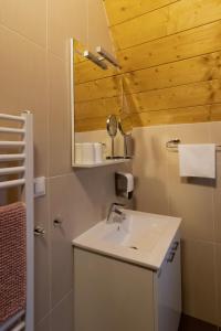 La salle de bains est pourvue d'un lavabo et d'un miroir. dans l'établissement Alpska kuća Lucy, à Jasenak