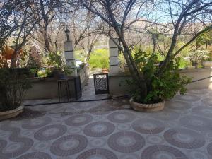 eine Terrasse mit Bäumen und Pflanzen auf dem Boden in der Unterkunft Cirta duplexe in Constantine