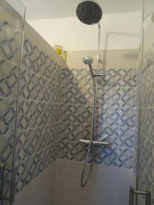 een douche in een badkamer met blauwe en witte tegels bij Beau 2 pièces avec jardin dans villa à Mougins. in Mougins