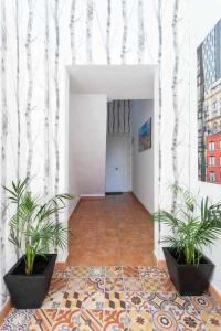 Kép Sunnyland terraza san andrés szállásáról San Andrésben a galériában