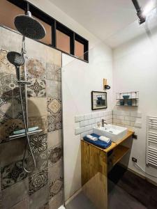ein Bad mit einem Waschbecken und einer Dusche in der Unterkunft Appartement cosy hyper-centre 70m2 in Amiens
