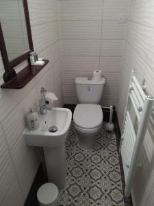 een kleine badkamer met een toilet en een wastafel bij Tyr Graig Castle in Barmouth