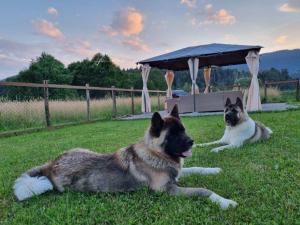Fotografie z fotogalerie ubytování Villa Ursus v destinaci Smrečje