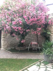 Vonkajšia záhrada v ubytovaní Petite maison sur jardin secret