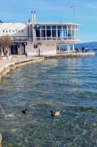 Príroda v okolí apartmánu