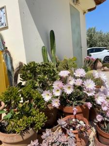Kép Kalimera Apartments szállásáról Kivériben a galériában