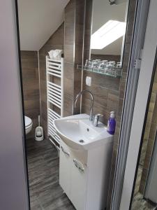 uma casa de banho com um lavatório e um espelho em Red House em Kyustendil