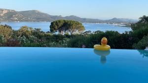 Fotografia z galérie ubytovania Villa vue mer, piscine chauffée, plage, tennis, port privé v destinácii Porto-Vecchio