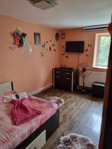 a bedroom with a bed and a tv in a room at Vila Madalina in Eforie Sud