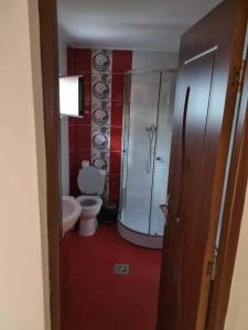 a bathroom with a toilet and a shower and a sink at Vila Madalina in Eforie Sud +8 photos