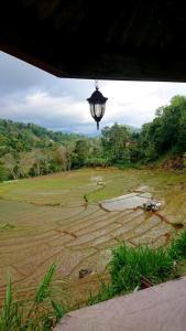 a view of a field with a street light at Escape Ella Bungalow in Bandarawela