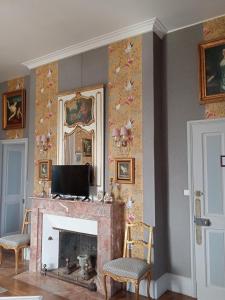 a living room with a fireplace with birds on the wall at Château de Montbrault in Fleurigné