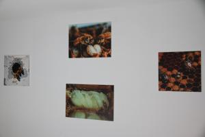 Fotografia z galérie ubytovania Casa rural rústica "EL COLMENAR" para parejas, familias o amigos a la montaña v destinácii Chóvar