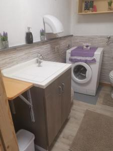a bathroom with a sink and a washing machine at CA' DU PINZER in Valletti +27 photos