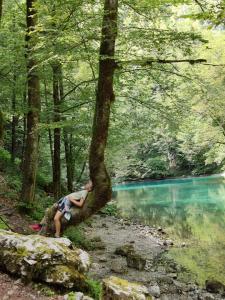 Fotografie z fotogalerie ubytování Villa Ursus v destinaci Smrečje