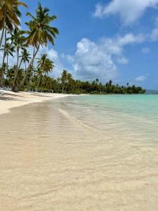 a sandy beach with palm trees and the ocean at Garden house by Petraki in Las Galeras