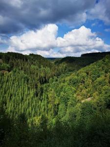an aerial view of a lush green forest at Chambre Aqualine in Aywaille