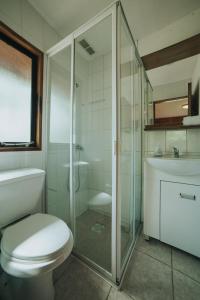 a bathroom with a toilet and a shower and a sink at Cabañas Metreñehue - Parque Metreñehue in Pucón